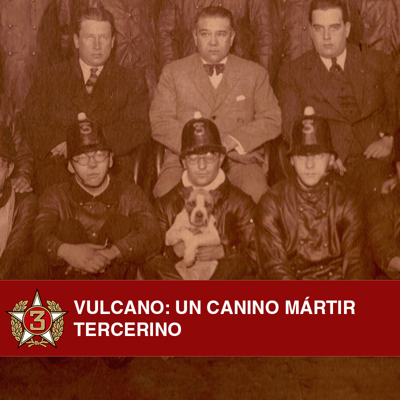 Vulcano: Un canino mártir Tercerino